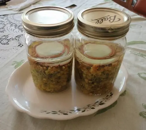 2 jars on plate with herbal tincture