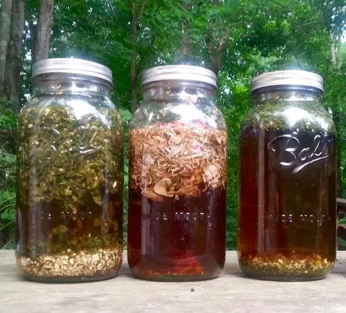 3 jars with full of herbal liquid in it 