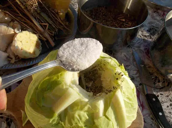 cabbage with spoon full of salt