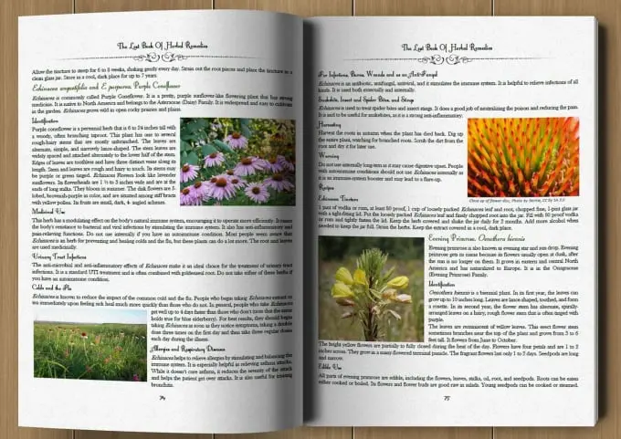 the-lost-book-of-herbal-remedies-claude-davis