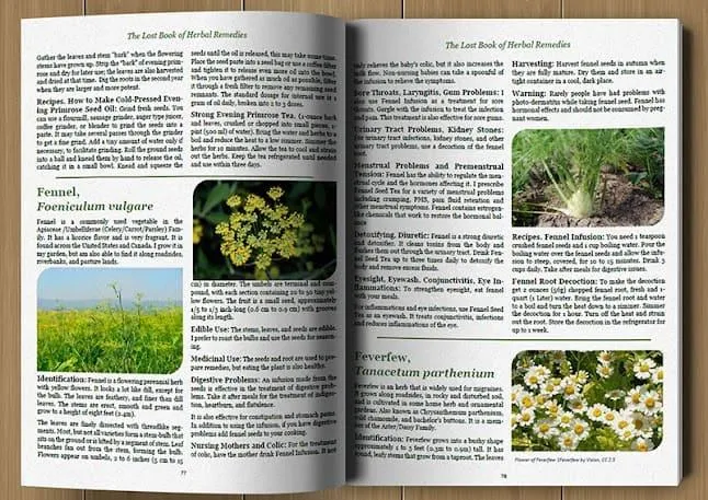 Open pages of 'The Lost Book of Herbal Remedies,' displaying detailed illustrations of medicinal plants along with descriptive text, providing insights into natural healing methods and traditional herbal knowledge.